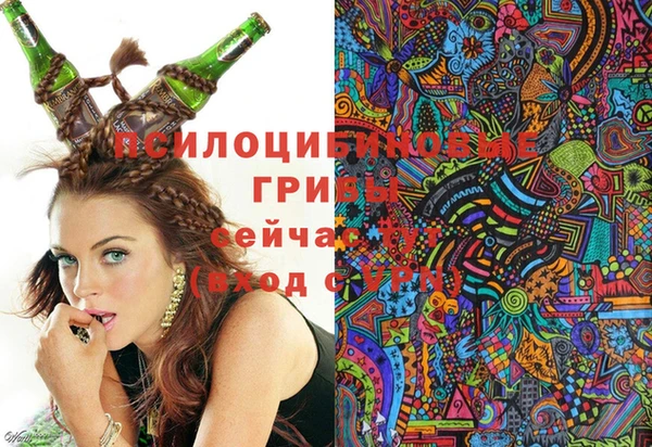 мяу мяу мука Корсаков