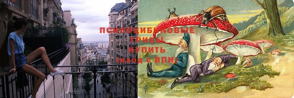 мяу мяу мука Корсаков