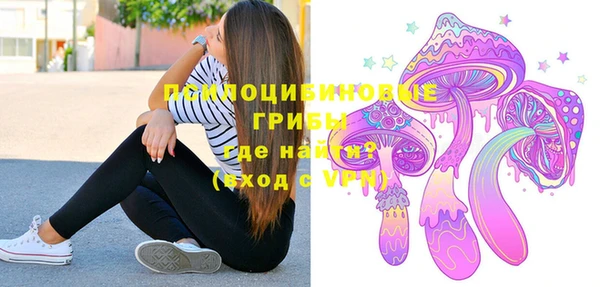 ешки Краснотурьинск