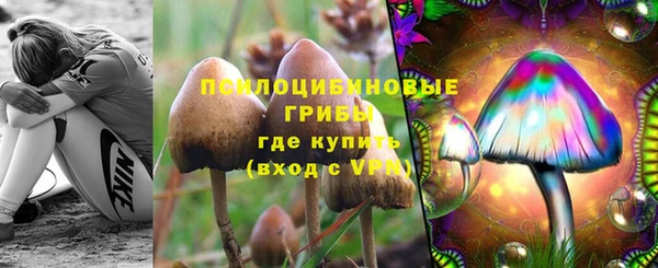 ешки Краснотурьинск