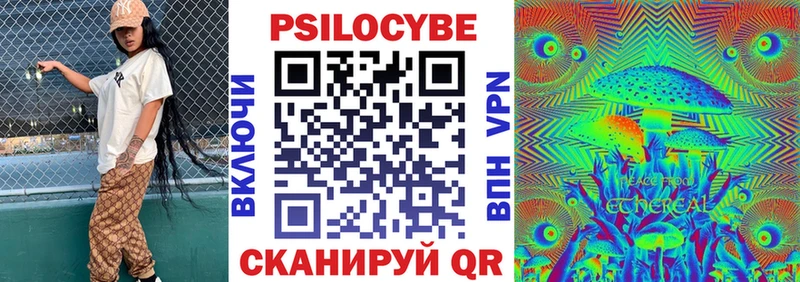 Купить где  Лосино-Петровский  Псилоцибиновые грибы GOLDEN TEACHER 